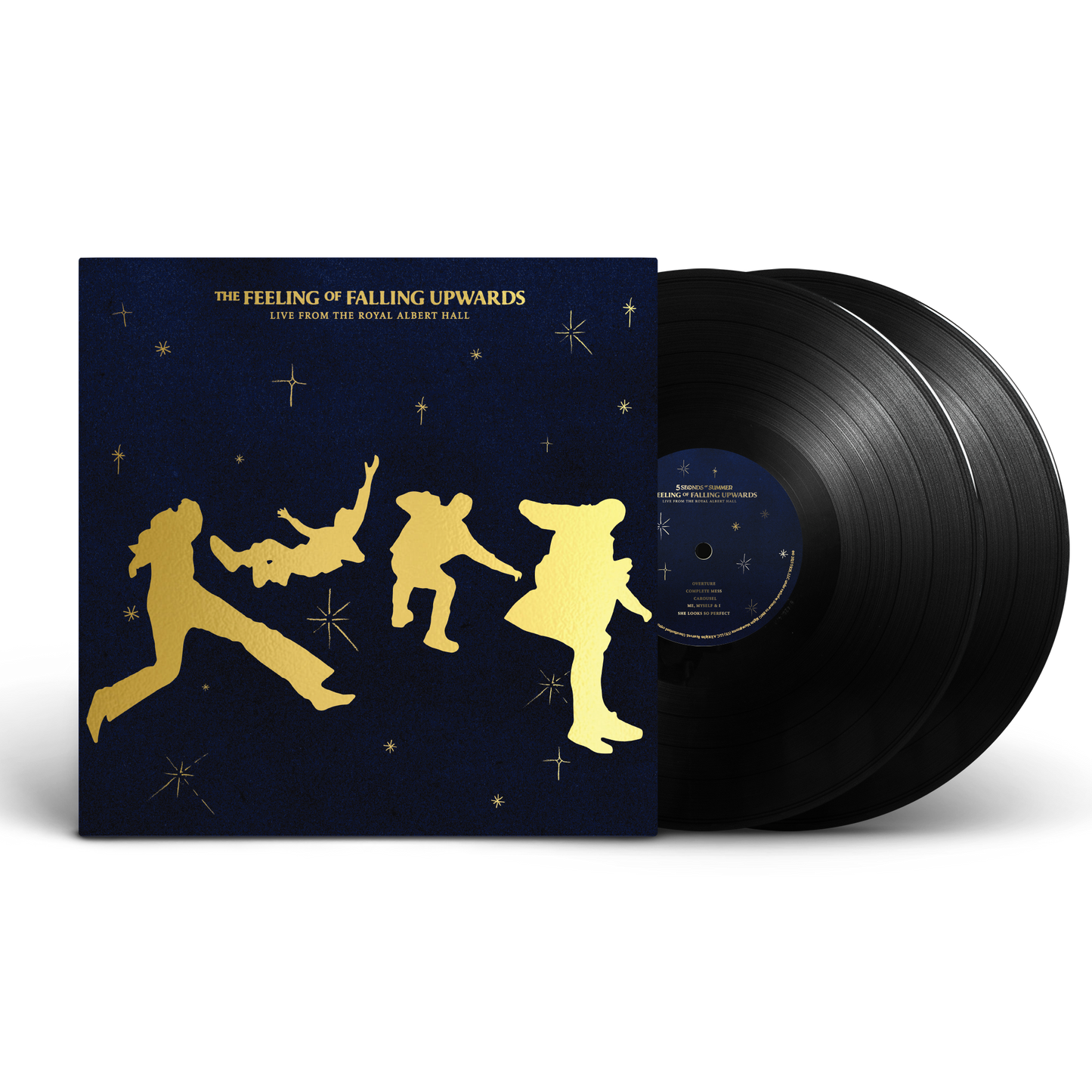 THE FEELING OF FALLING UPWARDS - LIVE FROM THE ROYAL ALBERT HALL VINYL